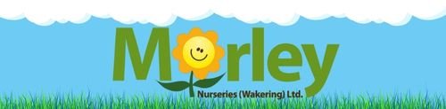 Morley Nurseries (Wakering) Ltd